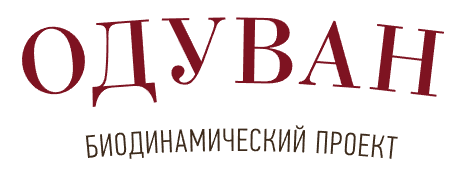 Одуван